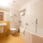 Hotel Mlýn 4*