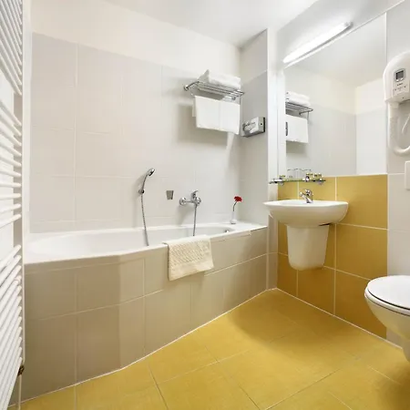 Hotel Mlýn 4*