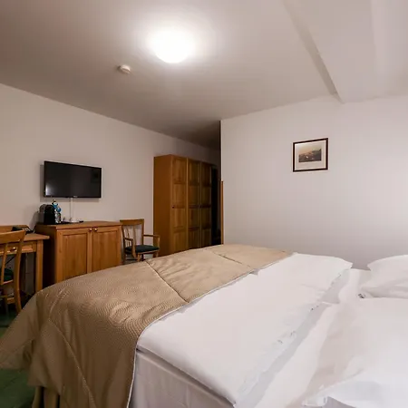Hotel Mlyn