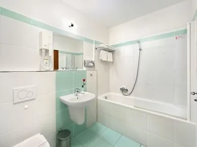 Hotel Mlyn 4*