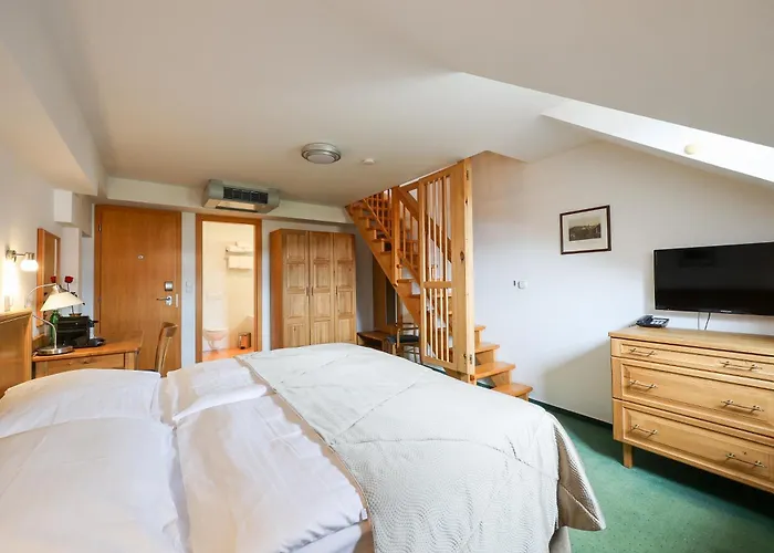 Ξενοδοχείο Mlyn